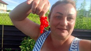 Болталка / Жарим на Мангале Печень / Готовка / Распаковка Чек /