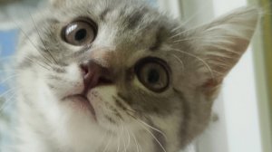 Короче говоря посидел с Басиком