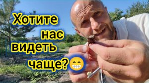 Что посадить на УЧАСТКЕ?/Приводим ПАРКОВКУ в порядок/Я никогда не советуюсь С НИМ/Что творится с ВБ?