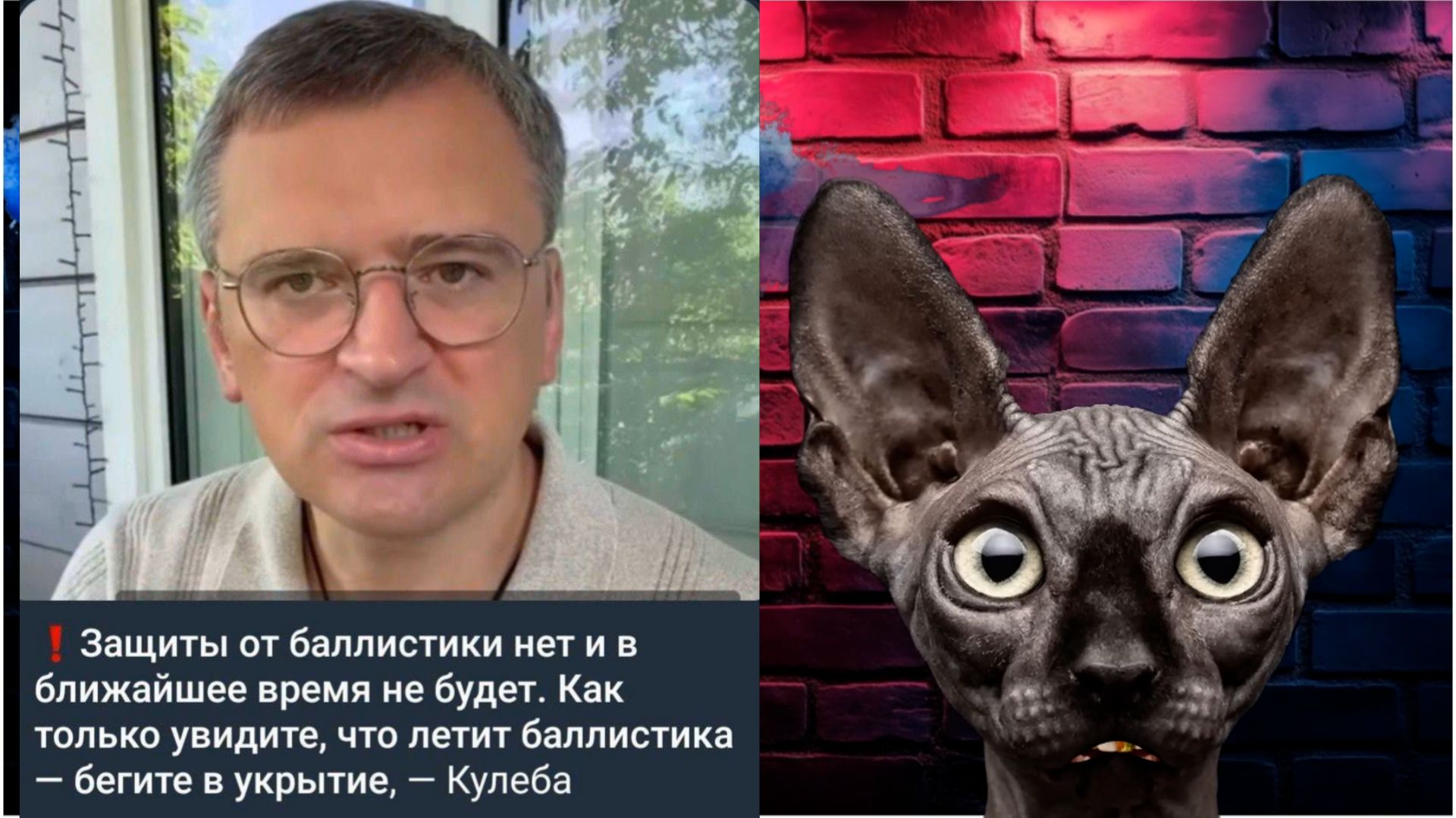 Чуть западнее наших границ живут прекрасные соседи / Кот Костян