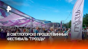Эногастрономический фестиваль «Гроздь» собрал тысячи гостей в Светлогорске
