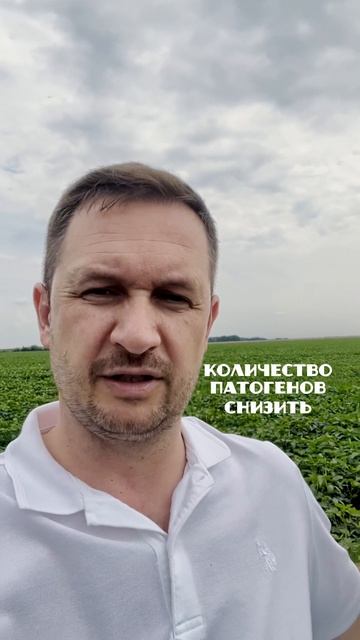 🌾Готовим почву после сои: Павел Солосенков рекомендует Эффект Био®