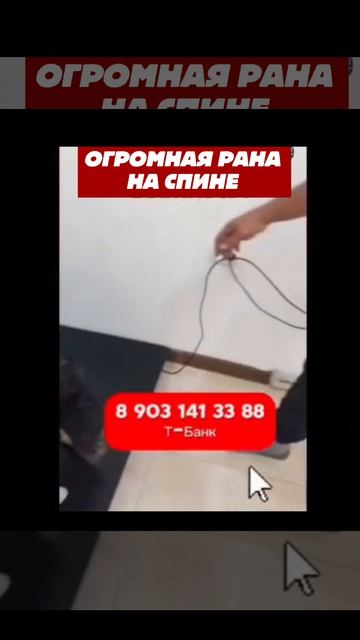 СЛЕПОЙ АЛАБАЙ, пожалуйста помогите