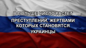 В Польше число растет преступлений, жертвами которых становятся украинцы
