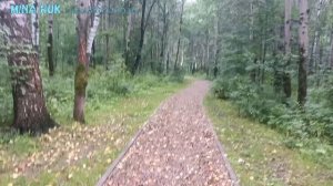 17/26 Вышивальные будни июля 26г. 2часть. Продвижения процессов. Размышления на тему СП.