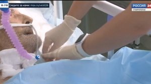 Следствие начало проверку после загадочной смерти ставропольского пенсионера в пансионате