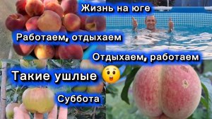 03-08-2026//Переехали на юг//Кубань//Наши выходные//Трудимся и отдыхаем/Умные,хитрые //Новая напасть