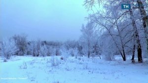 Туляк написал песню для SHAMANа про Владимира Путина