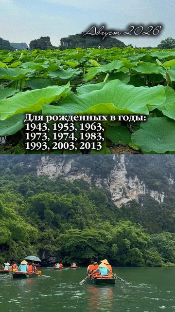 3 Прогноз по году рождения. Август 2026