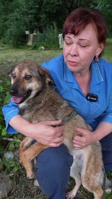 Грант: весёлый пёс с доброй душой ищет свой дом 😍🐕💛