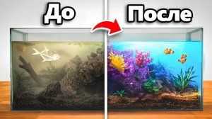 TerraGreen / Спасение рыб из заброшенного аквариума: от черной воды до аквадизайна за $400