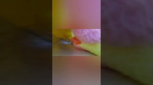 £■♡играем в прятки♡■£