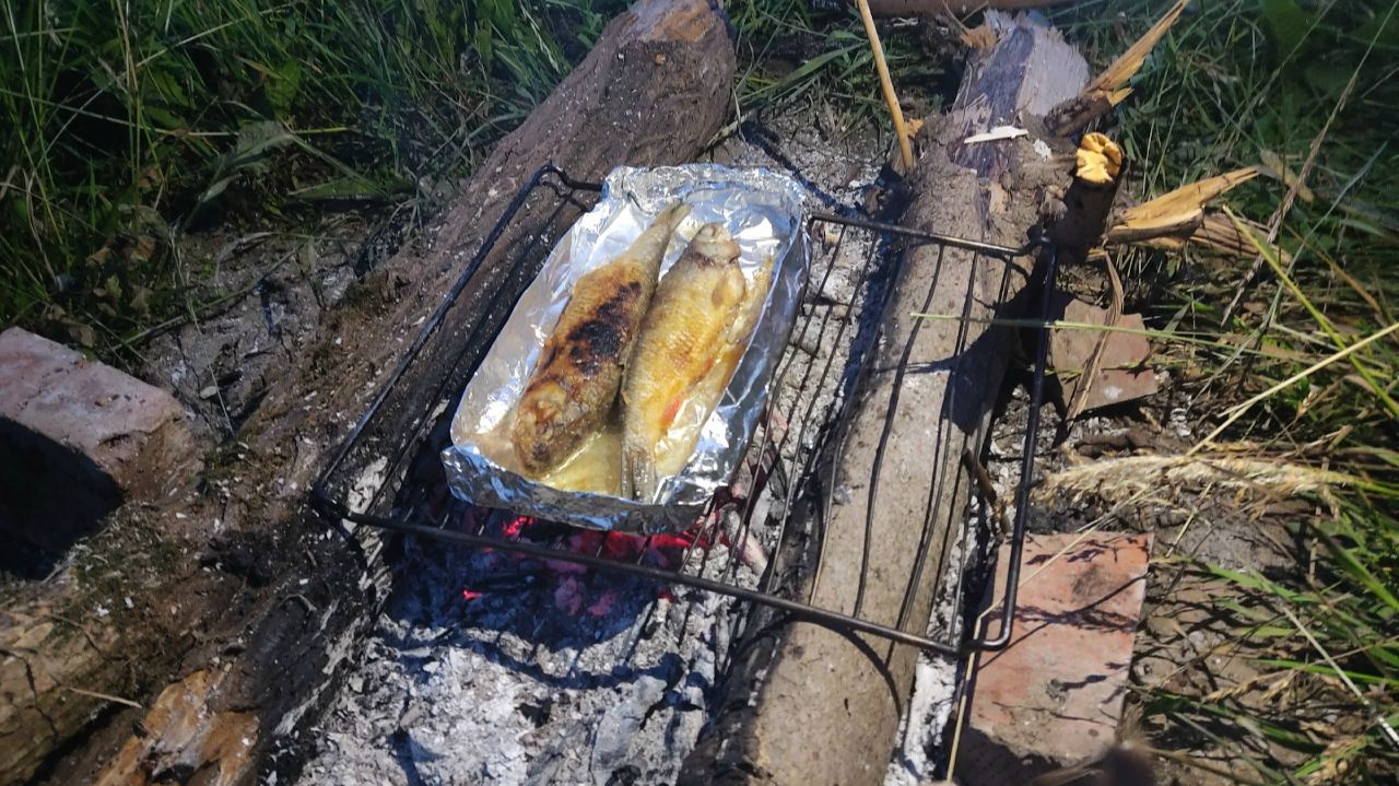 Жареные голавли на пищевой алюминиевой фольге на углях костра
