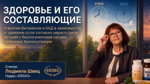 Здоровье и его составляющие - Усвоение Витаминов и БАД в зависимости от времени суток согласно Хроно