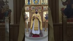 Проклятие бесплодной смоковницы. О вере и чудесах. Проповедь о. Вячеслава. 3.8.26