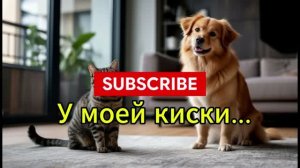 У моей киски... Шуточная песня о любви к питомцам с неожиданным концом. Хорошее настроение на день!