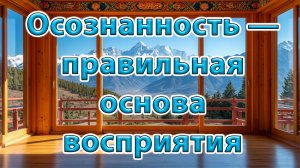 Осознанность - правильная основа восприятия