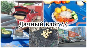 Шикарная покупка 🔥 МЯСО в фольге и на огне / Первый свой картофель / Соседи заценили 🙈