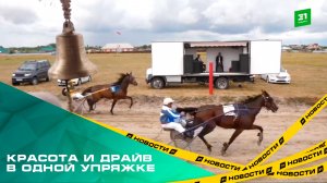 Красота и драйв в одной упряжке. В Варне в 30-й раз прошли традиционные лошадиные бега