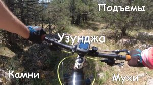 Узунджа - 03.08.2026 г.
