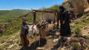 🔥 Кочевая жизнь в горах 🏔️ | Сбор дров с ослом и борьба за выживание 🐴