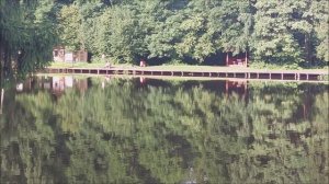 Утренний обзор с нижнего водоёма. Клёвое место, Лосиный остров.