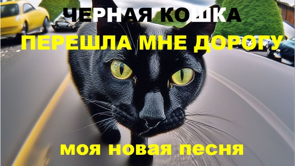 ЧЕРНАЯ КОШКА ПЕРЕШЛА МНЕ ДОРОГУ  //ВЕСЕЛАЯ ПЕСНЯ // АВТОРСКАЯ ПЕСНЯ //