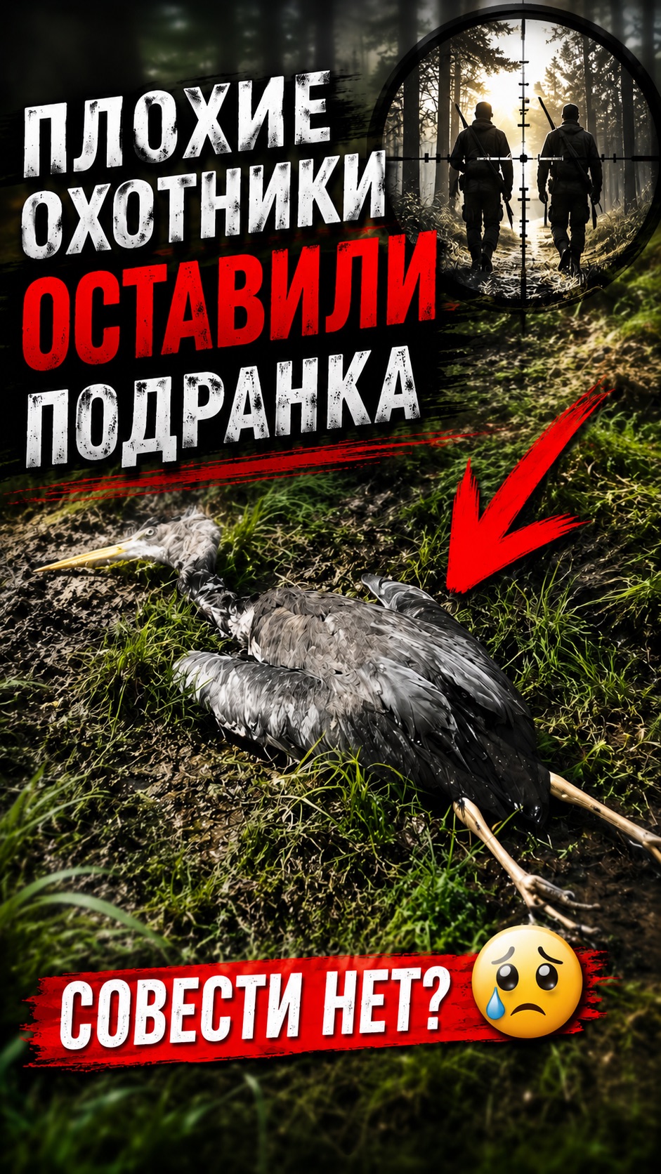 Нашёл подранка. Почему охотники не добирают дичь?