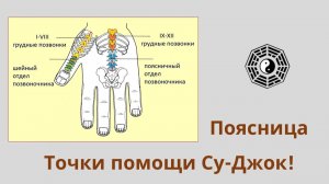 Точки Поясницы Су-Джок