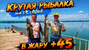 В жару +45: Рыбалка и отдых на камышовом острове