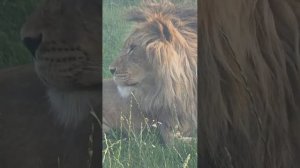 KWKR818202.08.2026_видео от Светланы