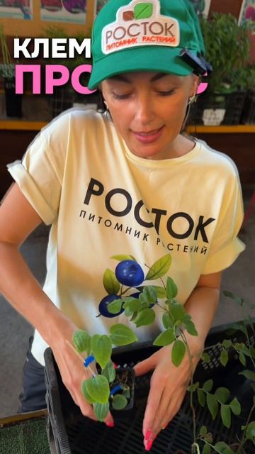 Необычные растения для сада: 3 новинки, которые вас удивят