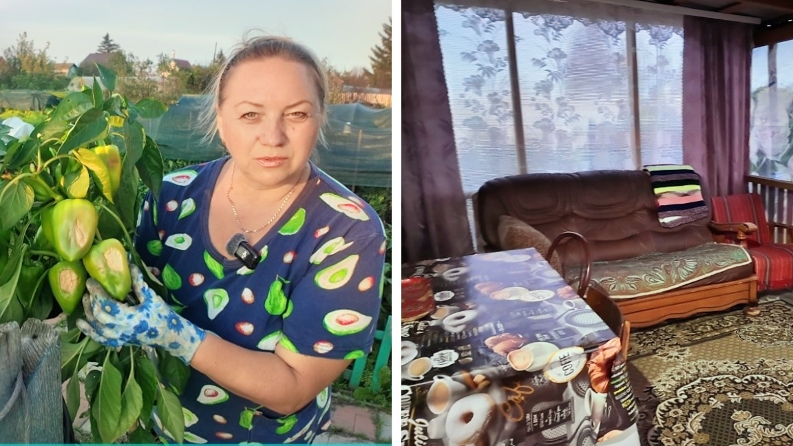 Разочарование сезона: выдернула больной куст, но урожай собрала. Идеальный вечер на даче с мамой