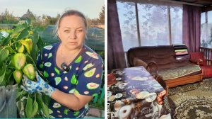 Разочарование сезона: выдернула больной куст, но урожай собрала. Идеальный вечер на даче с мамой