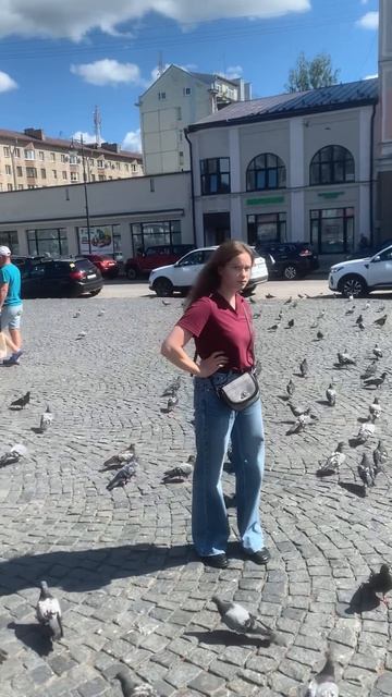 Гоняем голубей
