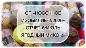 СП «Носочное изобилие-2/2026». Отчет-6/июль. Ягодный микс 🫐