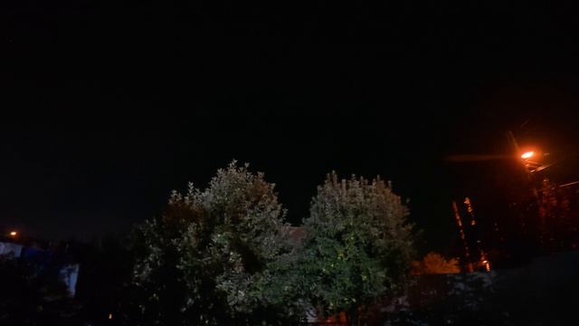 Звуки летней ночи