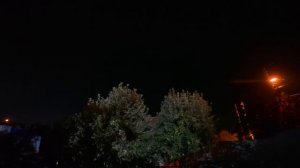 Звуки летней ночи
