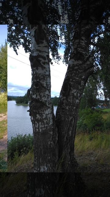 Моя Карелия