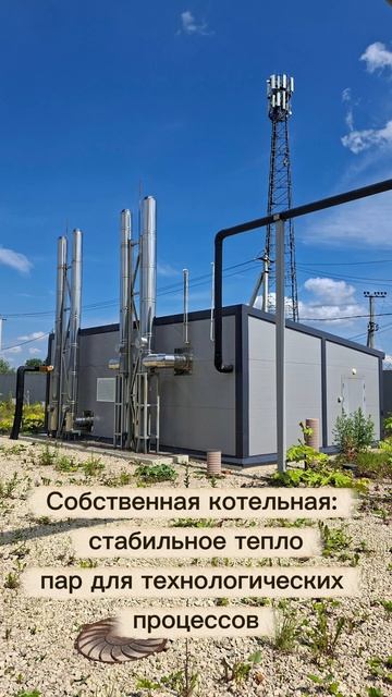Новое пищевое производство