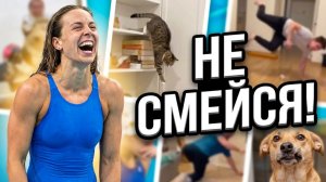 ЮТУБ ПРИКОЛЫ! Я ржал до слез 😂 20 Минут смеха 2026 Смешные видео Приколы с животными!