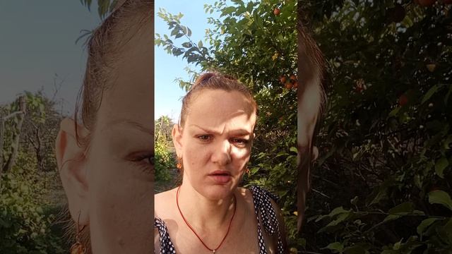 Разговоры о разном