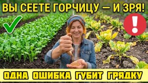 Посейте ЭТО после уборки - земля станет как перегной! Но одну культуру сеять НЕЛЬЗЯ на огороде!