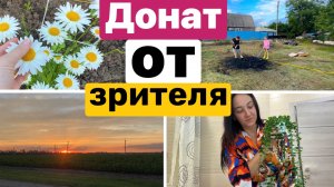 Донаты / НОВЫЕ ШТОРЫ / Работа на участке / Купили дачу