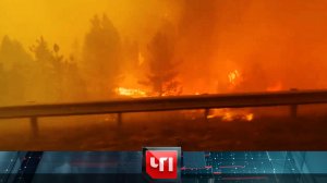 «ЧП»: 3 августа 2026 года | «Чрезвычайное происшествие» на НТВ