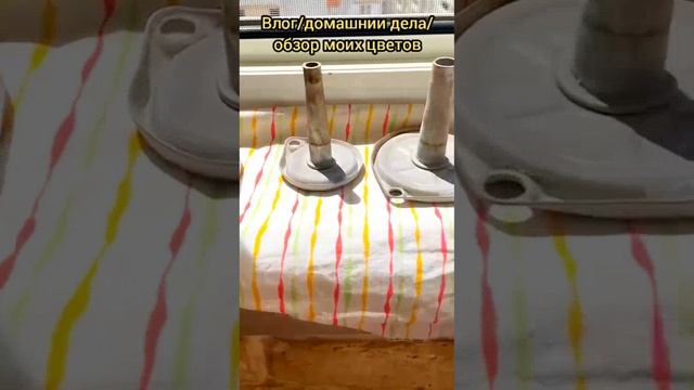 влог/обзор/чем я занимаюсь днём?