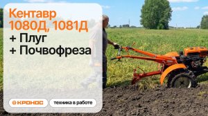Обзор: Мотоблок Кентавр 1080Д (Toyokawa) с плугом и мотоблок Кентавр 1081Д с почвофрезой в работе
