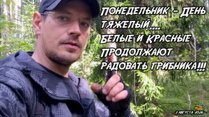 Понедельник - День тяжелый....Белые и Красные продолжают радовать грибника!!!  3 августа 2026