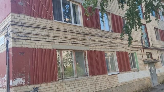 сомики в аквариуме , бася и снова дача