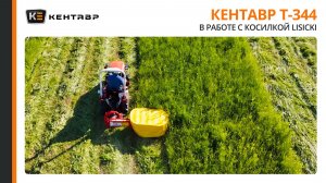 ИДЕАЛЬНАЯ КОСИЛКА ДЛЯ ТРАКТОРА КЕНТАВР Т-344 НАЙДЕНА! 12 соток метрового бурьяна за 1 час